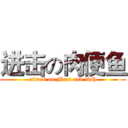 进击の肉便鱼 (attack on Meat and fish)