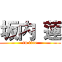 坂内 蓮 (in line)