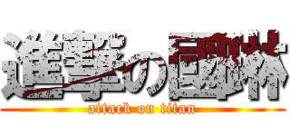 進撃の國琳 (attack on titan)