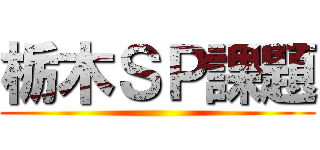 栃木ＳＰ課題 ()