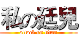 私の廷兒 (attack on titan)