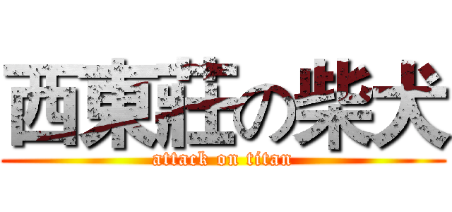 西東莊の柴犬 (attack on titan)