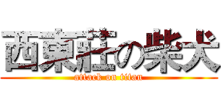 西東莊の柴犬 (attack on titan)