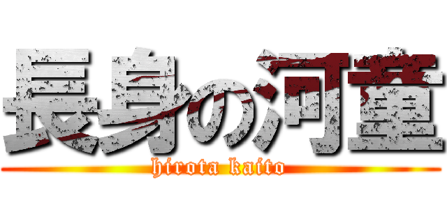 長身の河童 (hirota kaito)