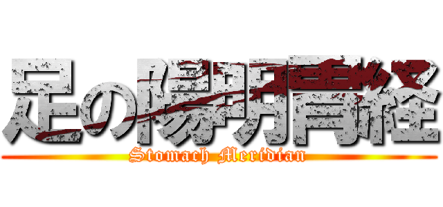 足の陽明胃経 (Stomach Meridian)