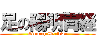 足の陽明胃経 (Stomach Meridian)