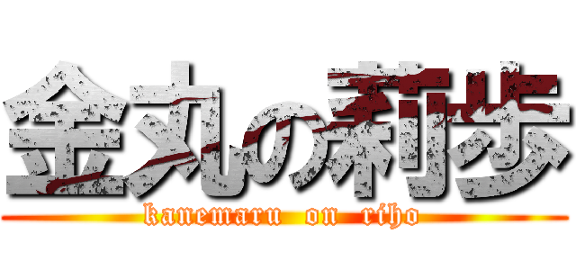 金丸の莉歩 (kanemaru  on  riho)