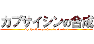 カプサイシンの合成 (Synthesis capsaicin derivatives)