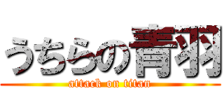 うちらの青羽 (attack on titan)