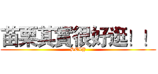 苗栗其實很好逛！！ (SEXY)