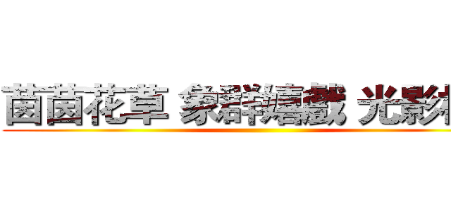 茵茵花草 象群嬉戲 光影相映 ()