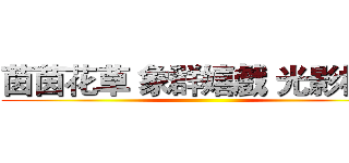 茵茵花草 象群嬉戲 光影相映 ()