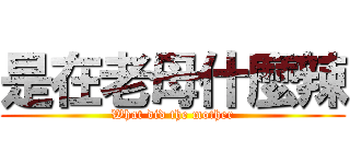 是在老母什麼辣 (What did the mother)