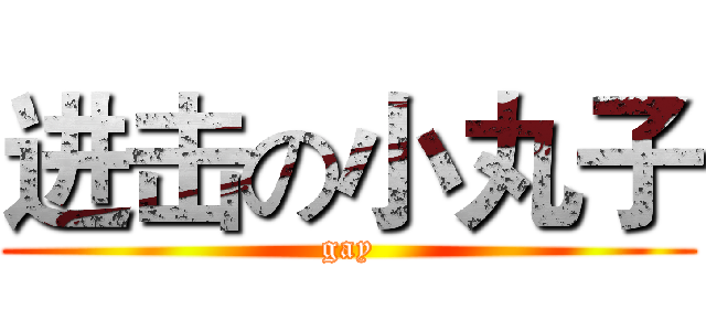 进击の小丸子 (gay)