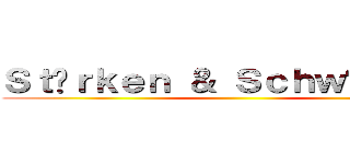 Ｓｔäｒｋｅｎ ＆ Ｓｃｈｗäｃｈｅｎ ()