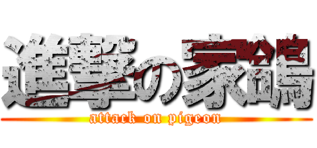 進撃の家鴿 (attack on pigeon)