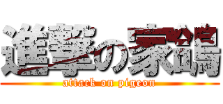 進撃の家鴿 (attack on pigeon)