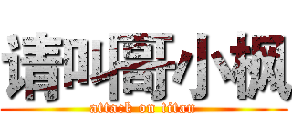 请叫哥小枫 (attack on titan)