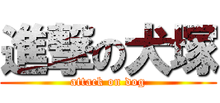進撃の犬塚 (attack on dog)