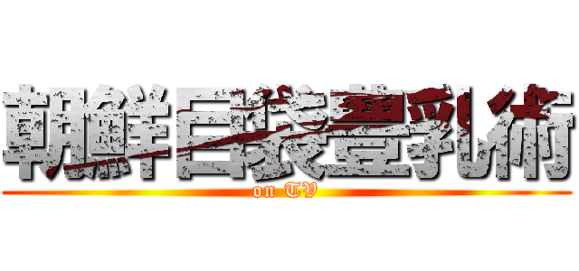 朝鮮目袋豊乳術 (on TV)