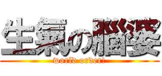 生氣の腦婆 (world order!)