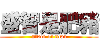 盛智是肥豬 (attack on titan)