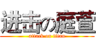 进击の庭萱 (attack on titan)