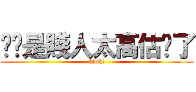 說妳是賤人太高估妳了 (bitch!)
