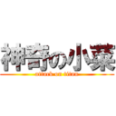 神奇の小菜 (attack on titan)