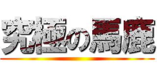 究極の馬鹿 ()