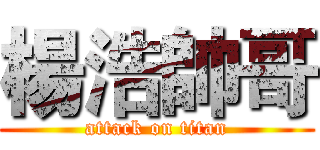 楊浩帥哥 (attack on titan)