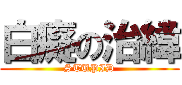 白癡の治緯 (STUPID)