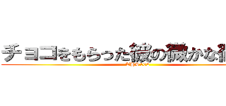 チョコをもらった彼の微かな微笑み (THS162)