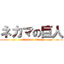 ネカマの巨人 (attack on titan)