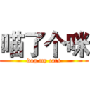 喵了个咪 (dog my cats)