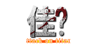 佳汶 (attack on titan)