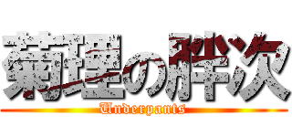 菊理の胖次 (Underpants)