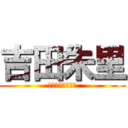 吉田朱里 (誕生日おめでとう)