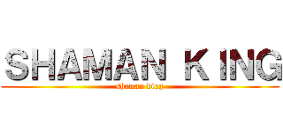 ＳＨＡＭＡＮ ＫＩＮＧ (shaman king)
