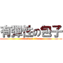 有彈性の包子 (attack on titan)