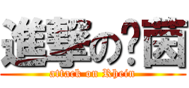 進撃の萊茵 (attack on Rhein)