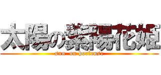 太陽の紫陽花姫 (sun  on hortense)