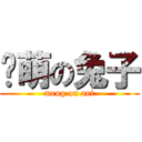 卖萌の兔子 (meng on ani)