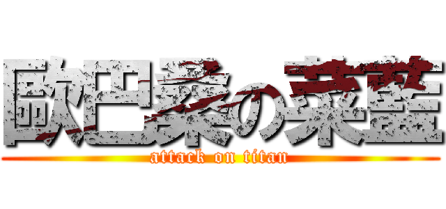 歐巴桑の菜藍 (attack on titan)