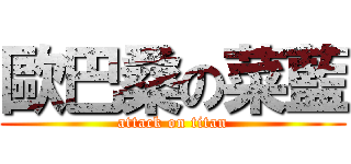 歐巴桑の菜藍 (attack on titan)