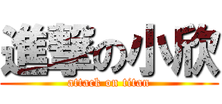 進撃の小欣 (attack on titan)