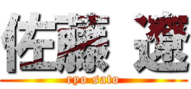 佐藤 遼 (ryo sato)
