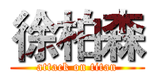 徐柏森 (attack on titan)