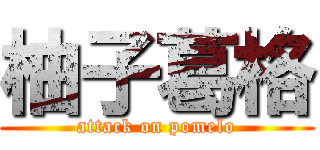 柚子葛格 (attack on pomelo)
