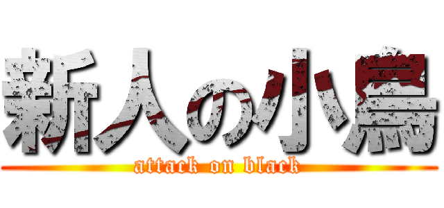新人の小鳥 (attack on black)